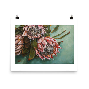 Shades of Blush | Paper Prints