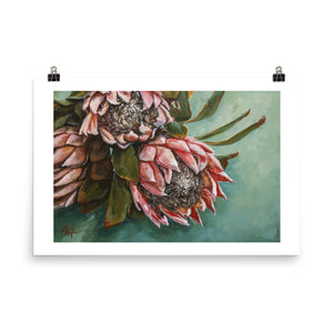 Shades of Blush | Paper Prints