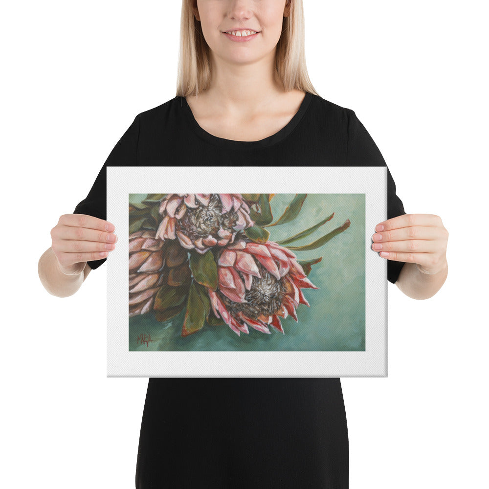 Shades of Blush | Canvas Prints