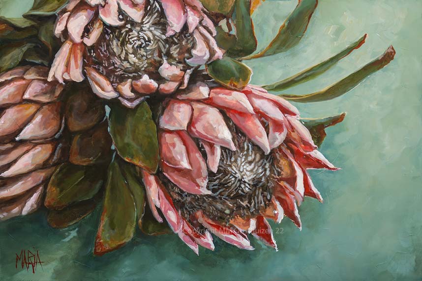 Shades of Blush | Paper Prints