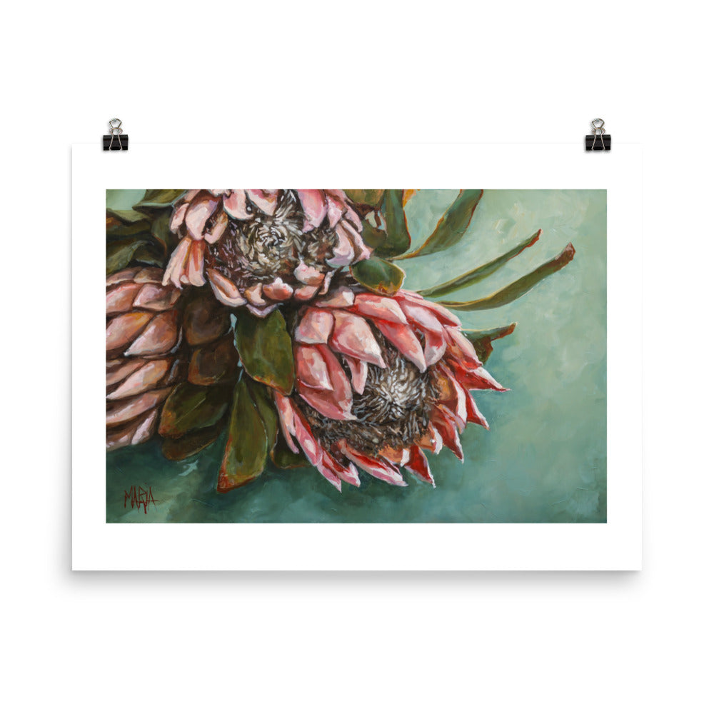 Shades of Blush | Paper Prints